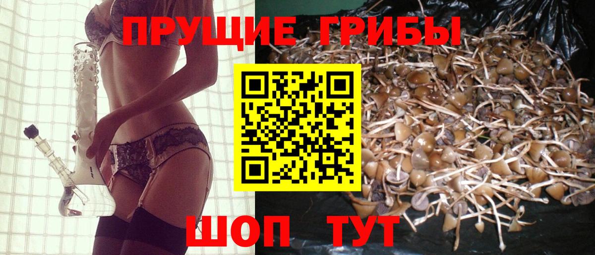 Галлюциногенные грибы мицелий Волжский