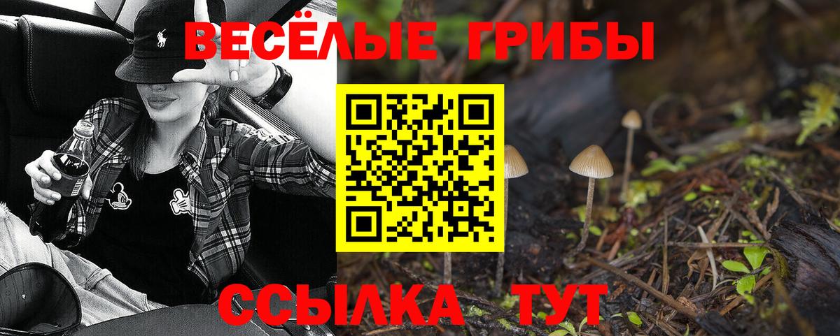хочу наркоту  Вход с VPN  Волжский  Псилоцибиновые грибы Psilocybe 