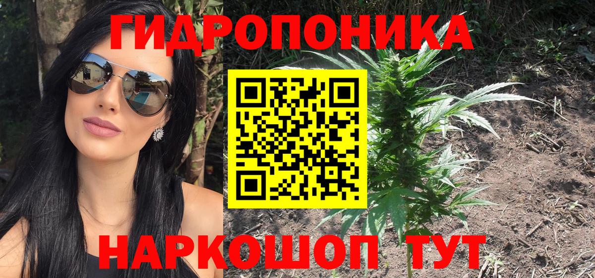 Каннабис сатива Волжский